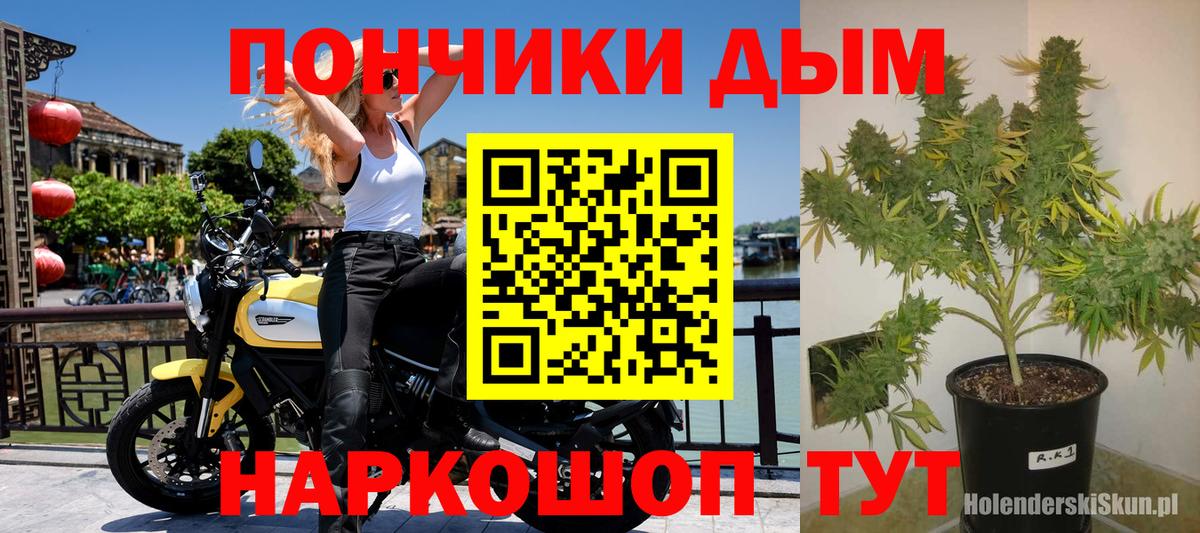 Шишки марихуана семена  Конопля ГИДРОПОН  Каспийск  Вход с VPN  Конопля AK-47 